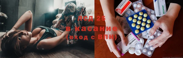 ПСИЛОЦИБИНОВЫЕ ГРИБЫ Армянск